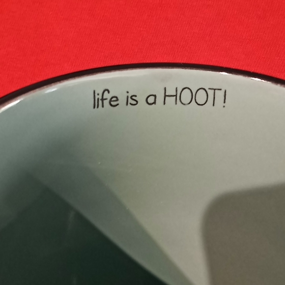 Owl Coffee/Tea 21oz Mug. Turquoise. "Life is a HOOT!". SPECTRUM DESIGNZ-2017. - Picture 11 of 15